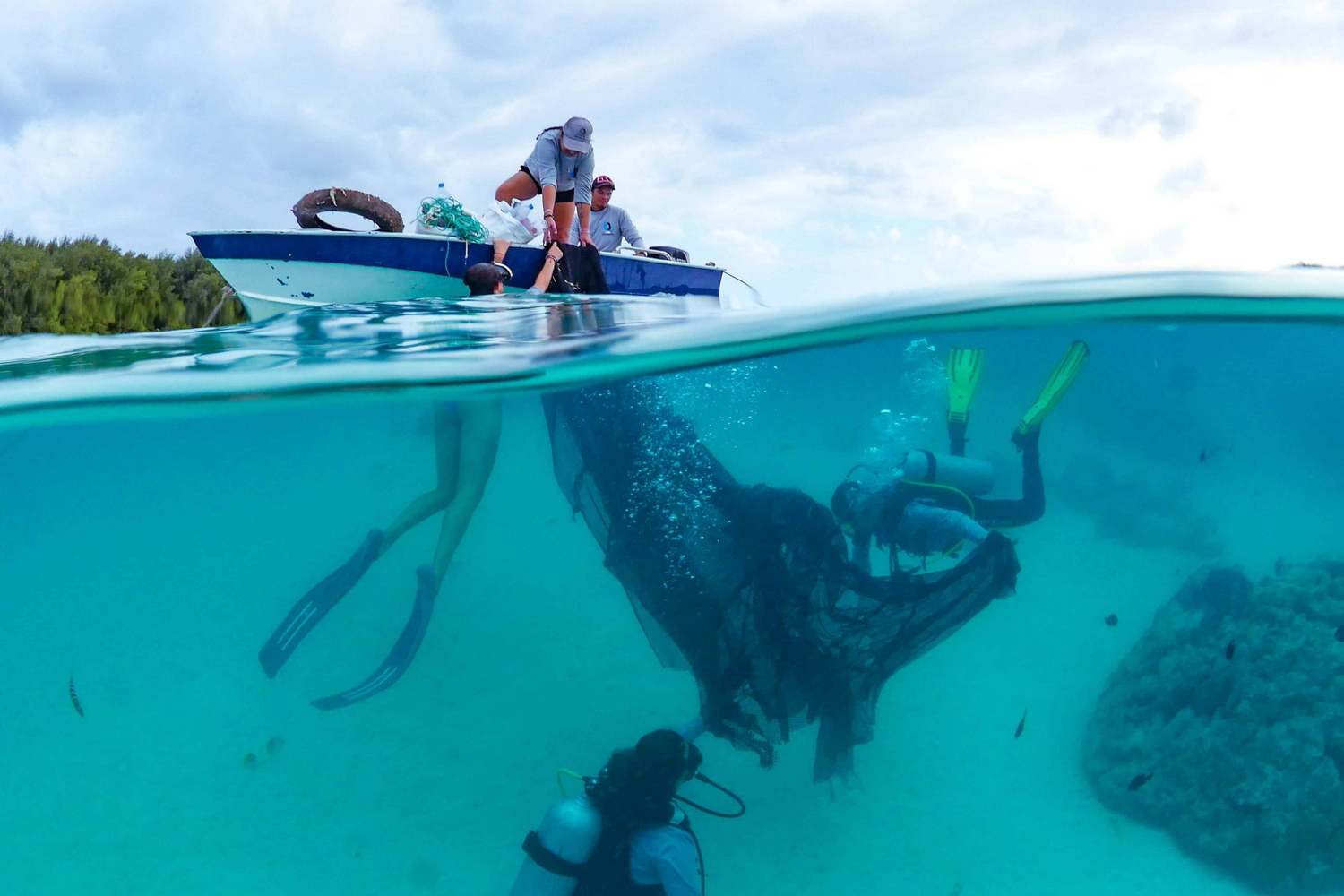 baleine et son petit empêtrée dans des déchets